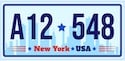 New York License Plate Lookup Example